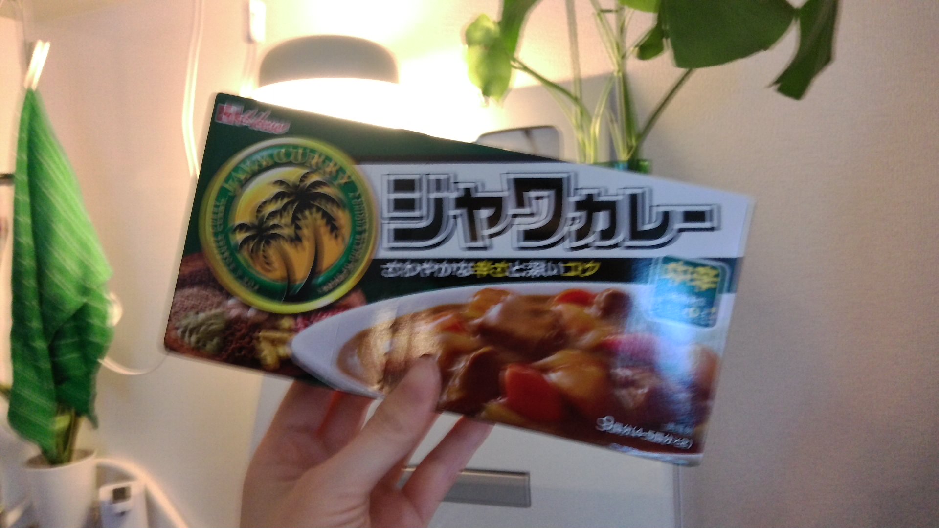 【Pro】じいちゃんのカレー